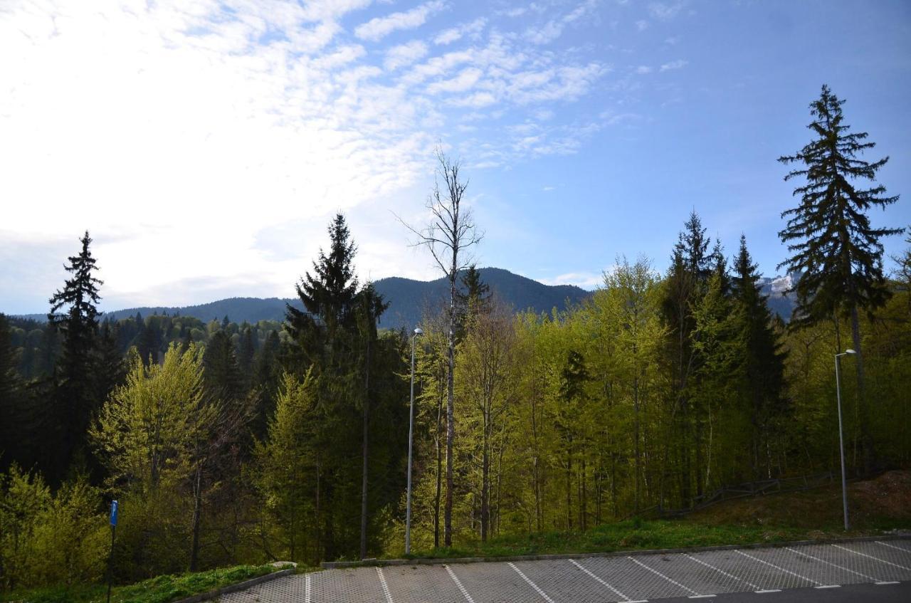 Silver Pine Apartment Poiana Braşov Dış mekan fotoğraf